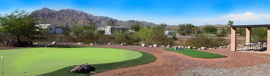 Picacho Peak Resort 55+