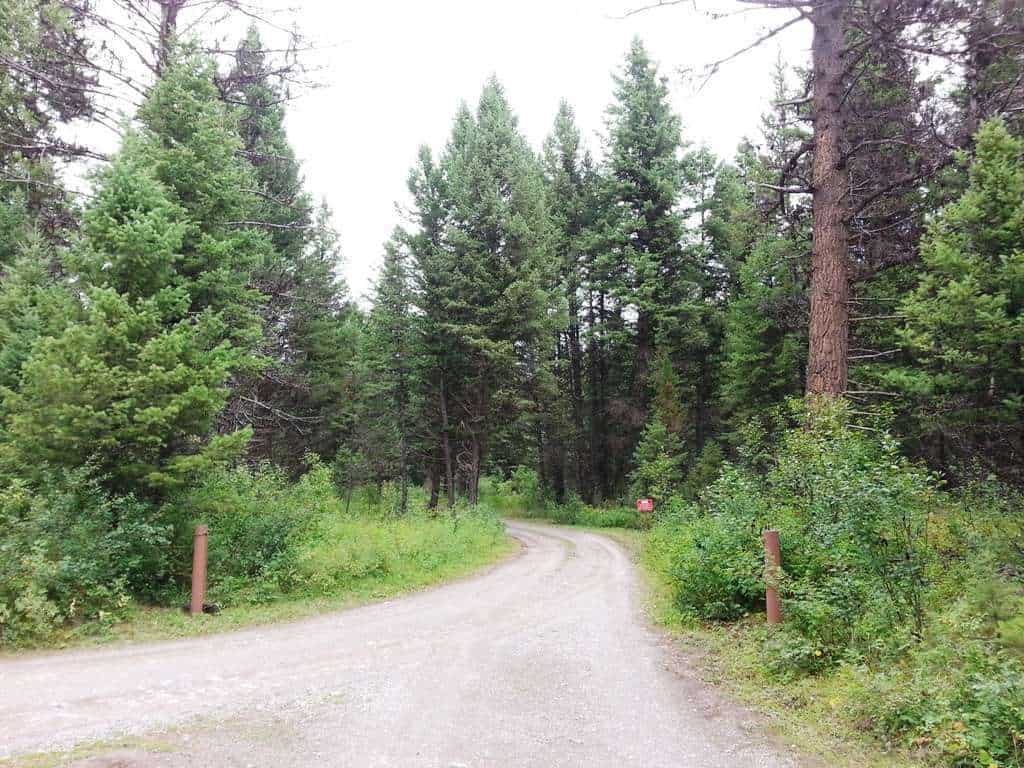 Quartz Creek Campground