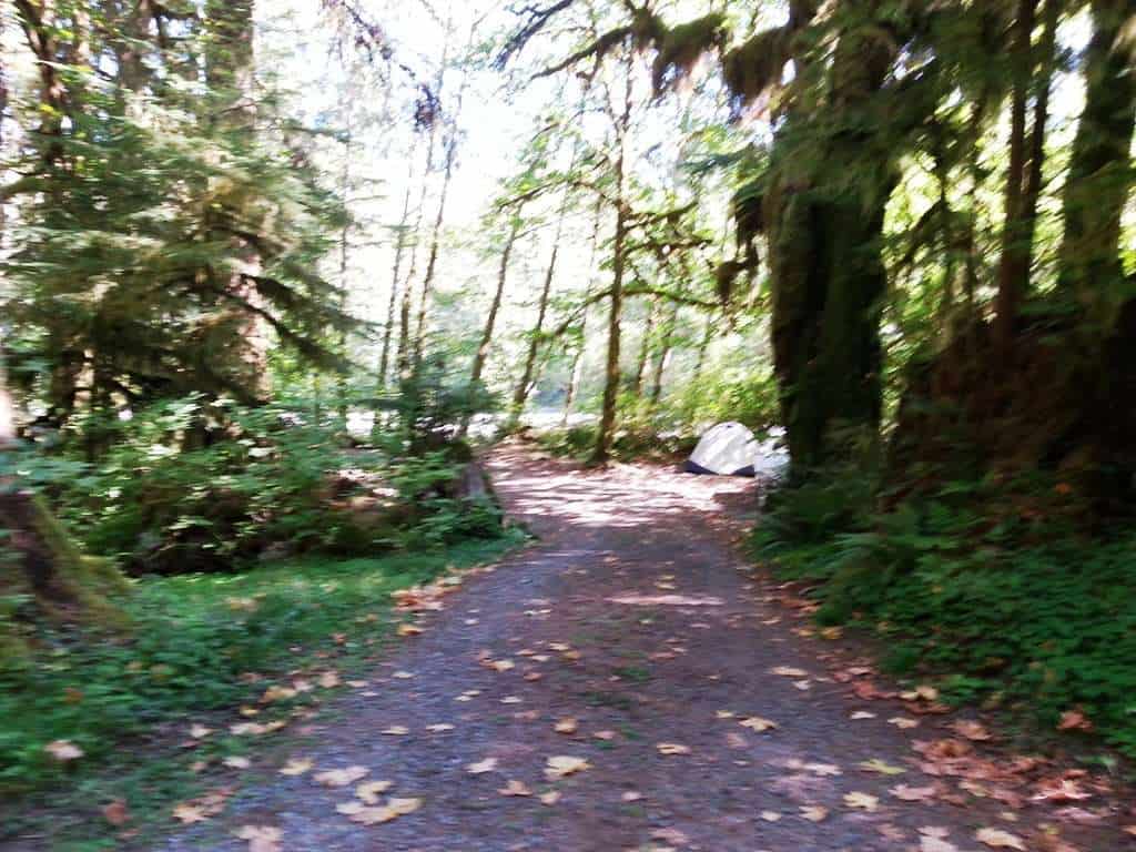 Queets Campground