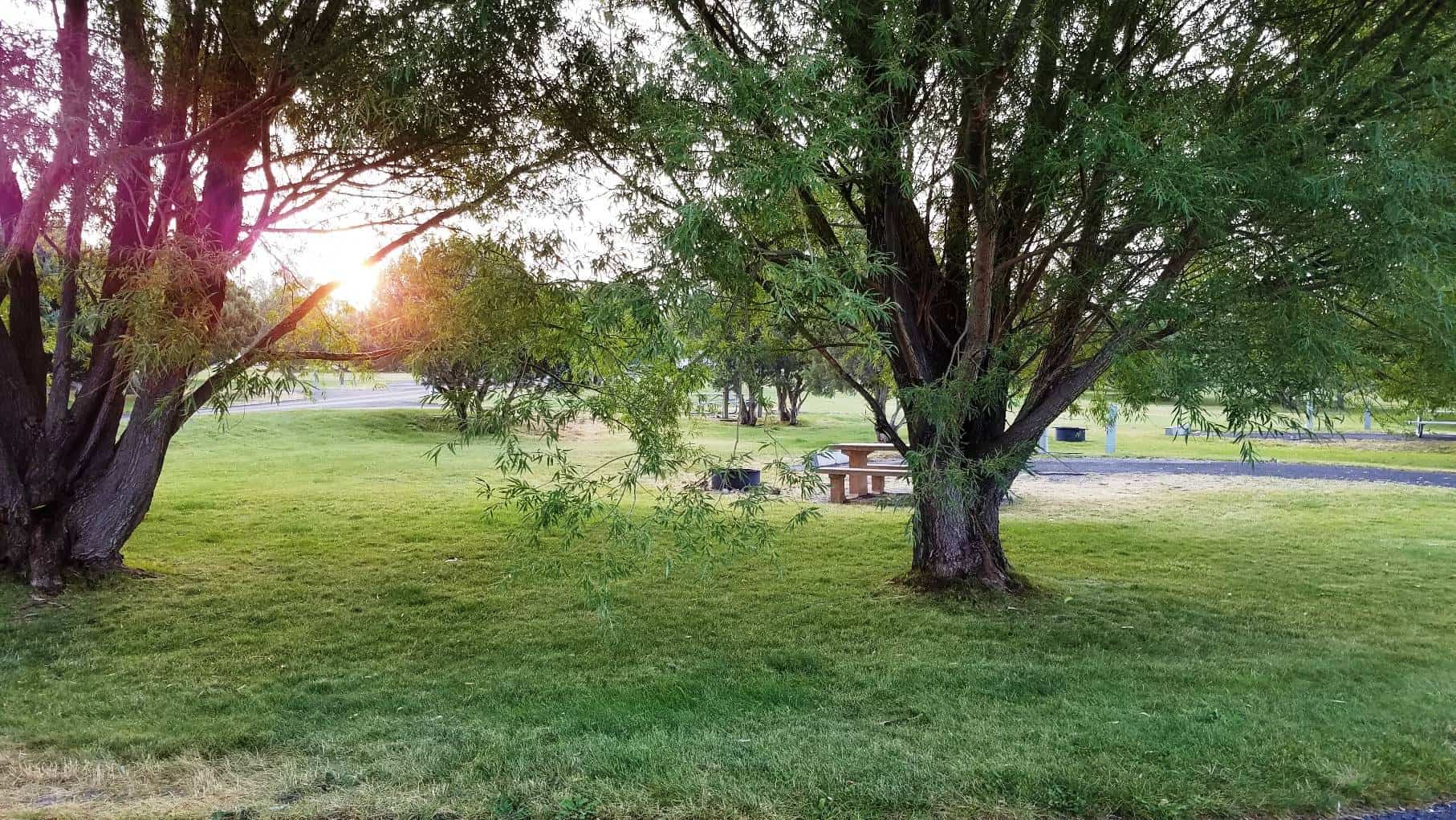 Juniper Park Campground