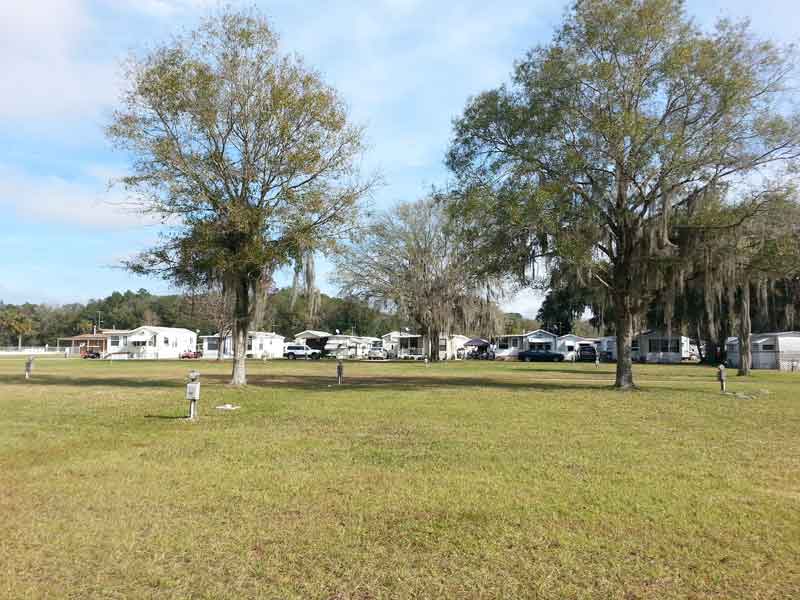 River Palm RV Resort