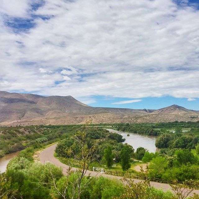Leasburg Dam State Park Campground
