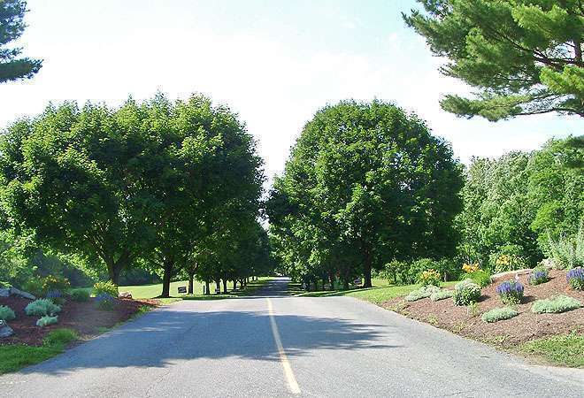 Circle M RV and Camping Resort