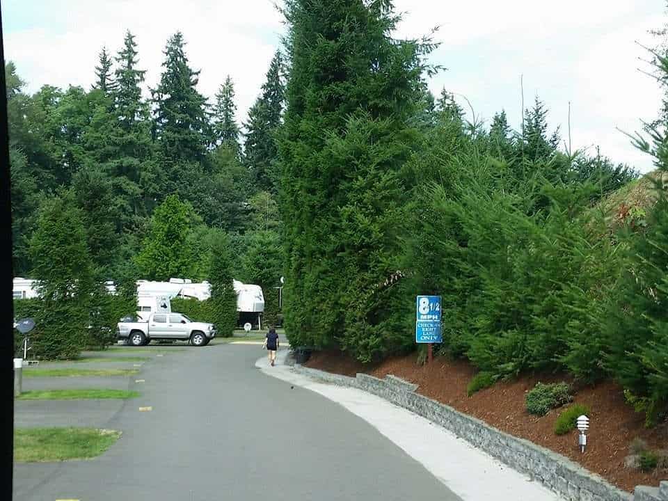 Lake Pleasant RV Park