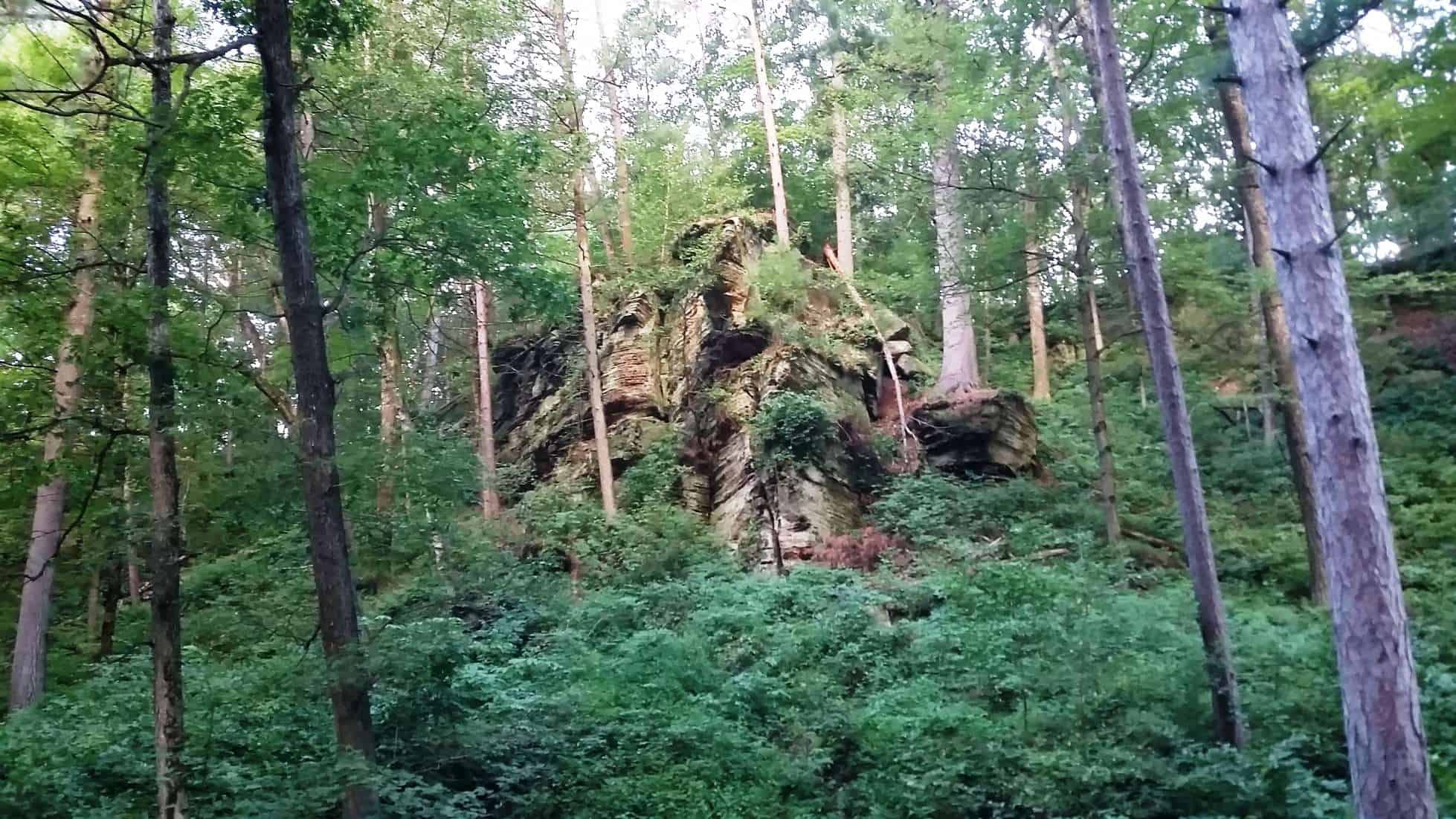 Rocky Arbor State Park Campground