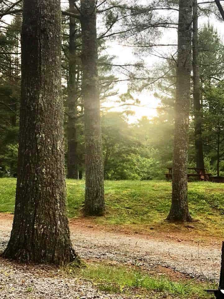 Rose Creek Campground & Cabins