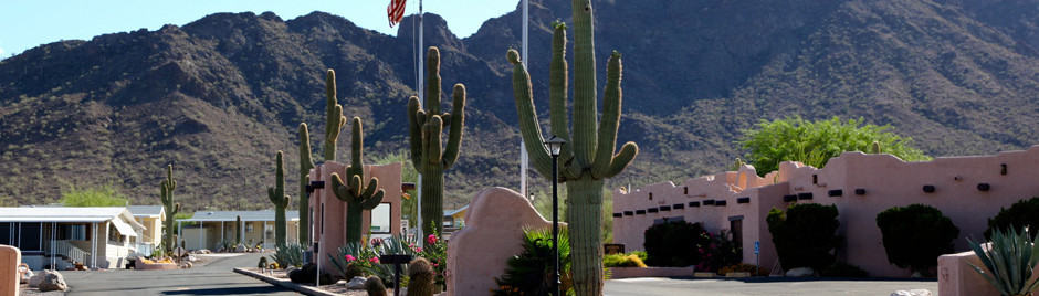 Picacho Peak Resort 55+