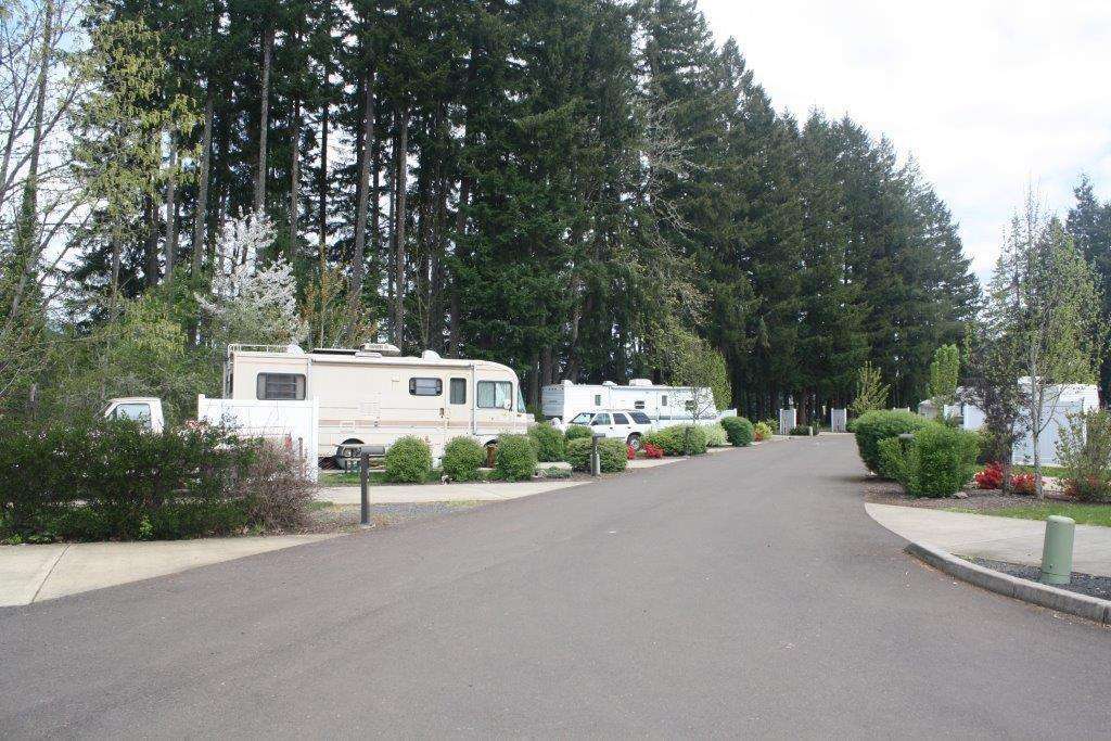 Edgewater RV Resort and Marina