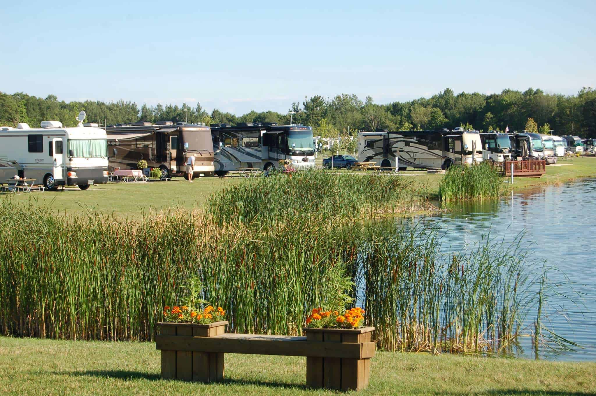 South Haven Sunny Brook RV Resort