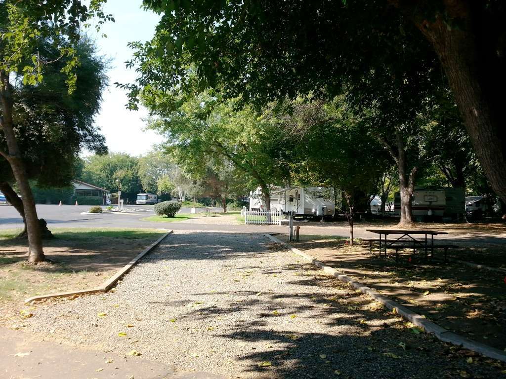 Sacramento River RV Park