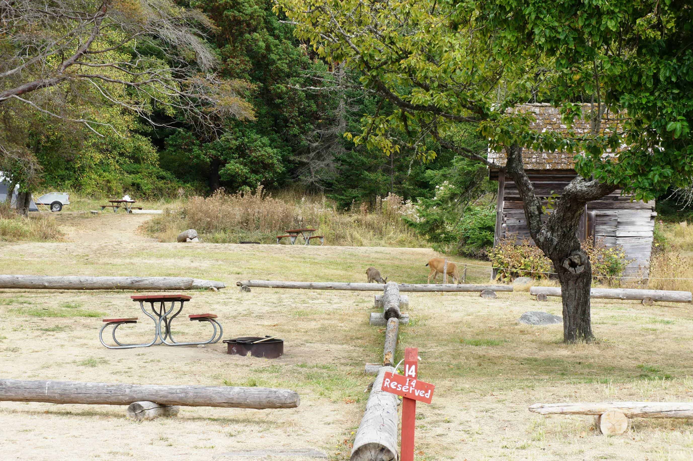 San Juan County Park Campground