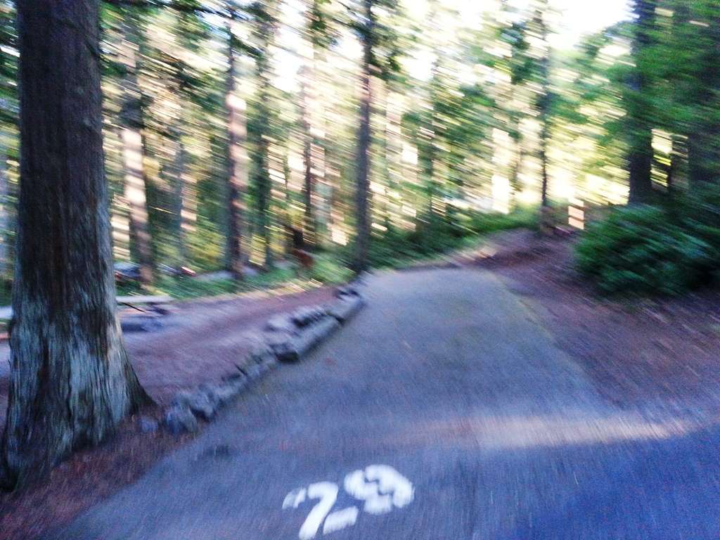 Sequim Bay State Park Campground