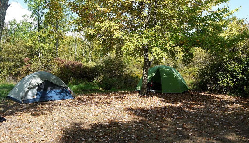 Branches of Niagara Campground