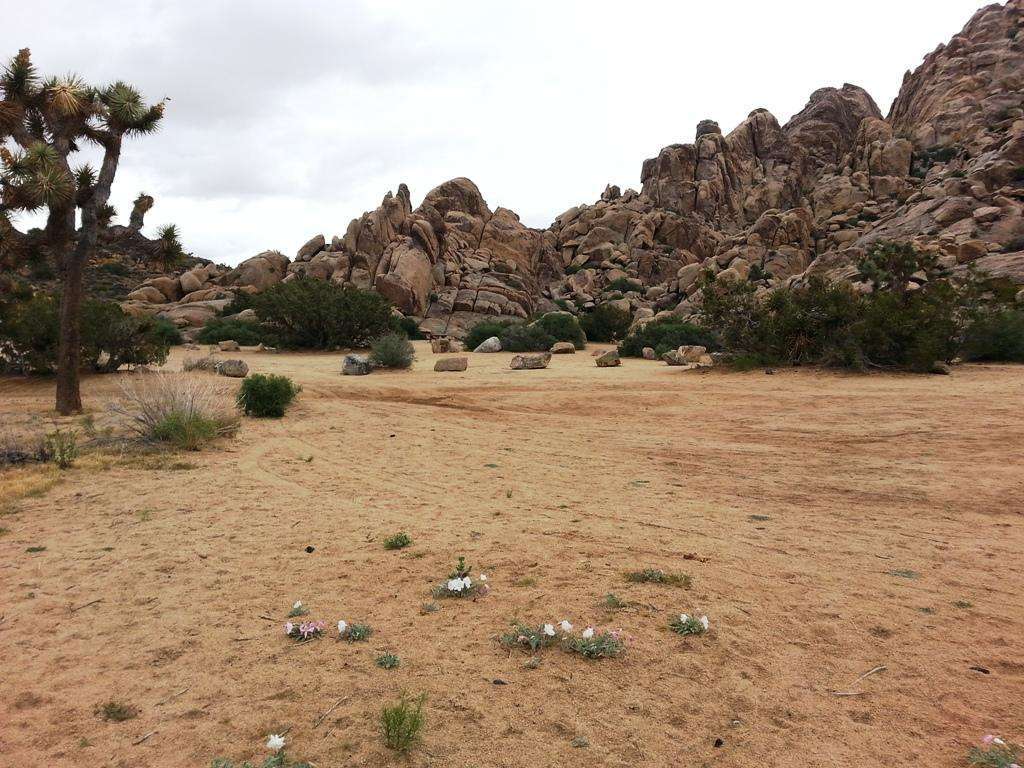 Sheep Pass Campground