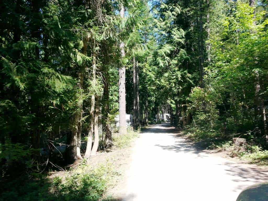 Springy Point Campground