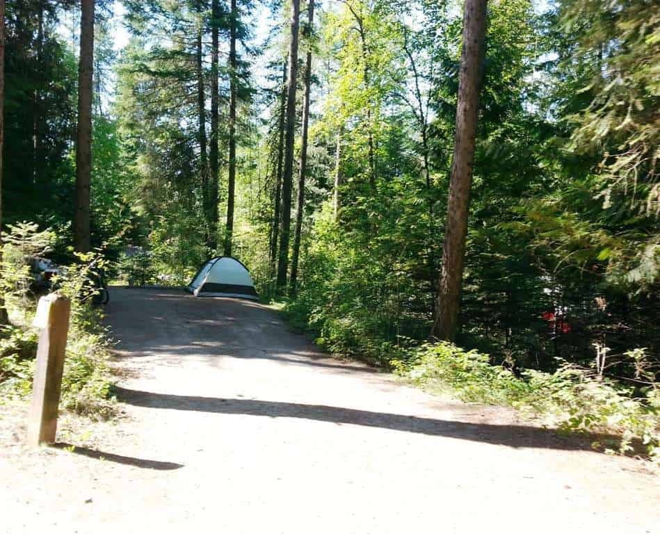 Springy Point Campground