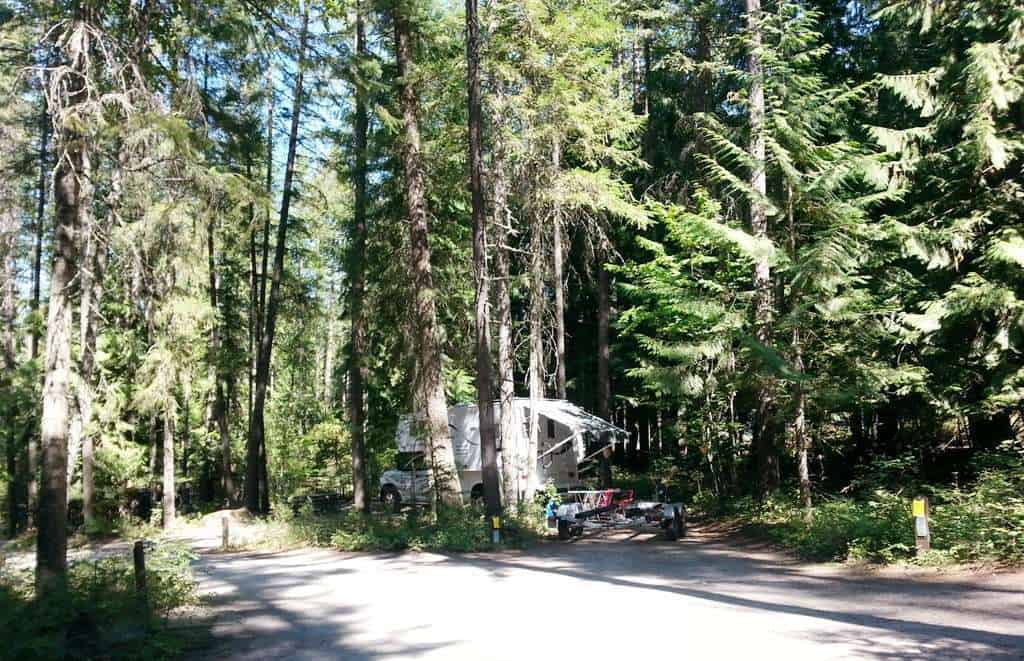 Springy Point Campground