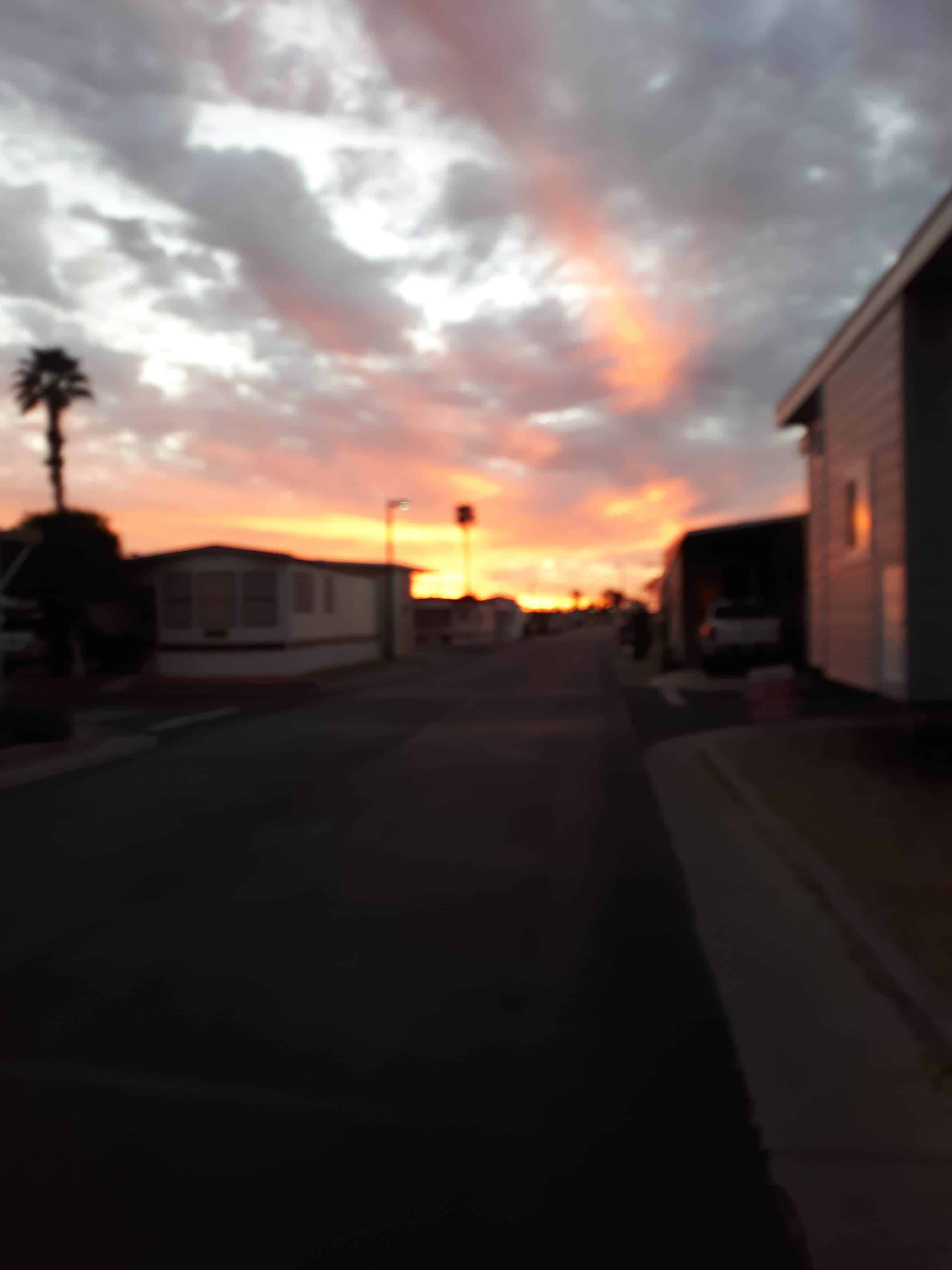 Mesa Regal RV Resort