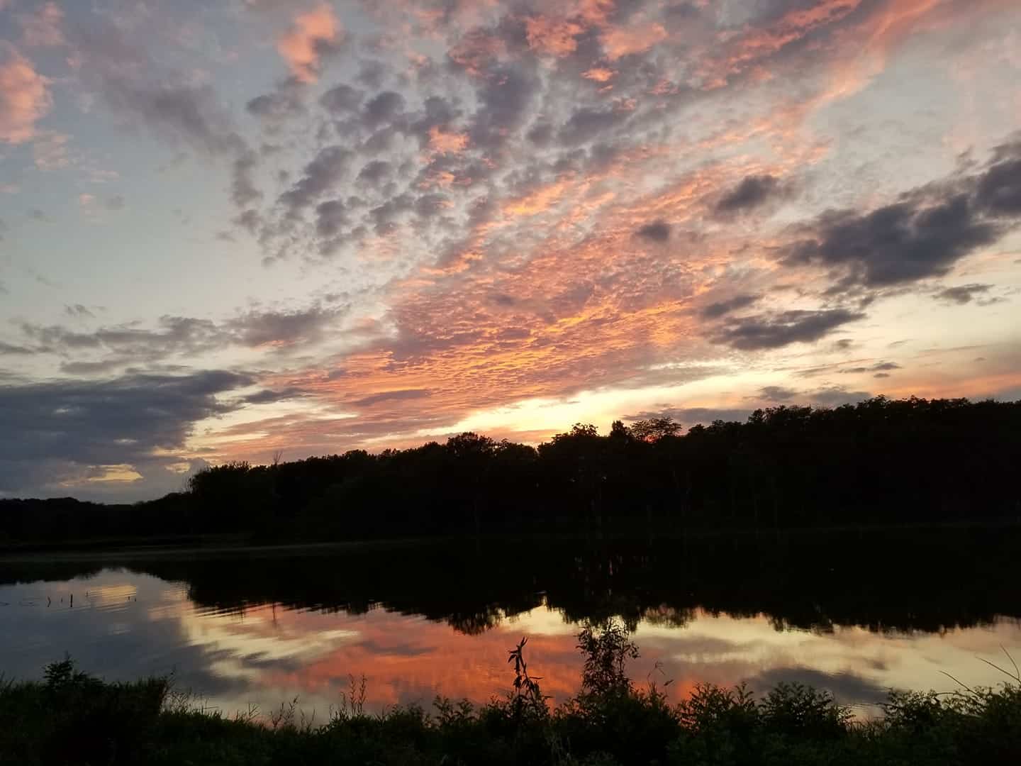 Lake Darling State Park