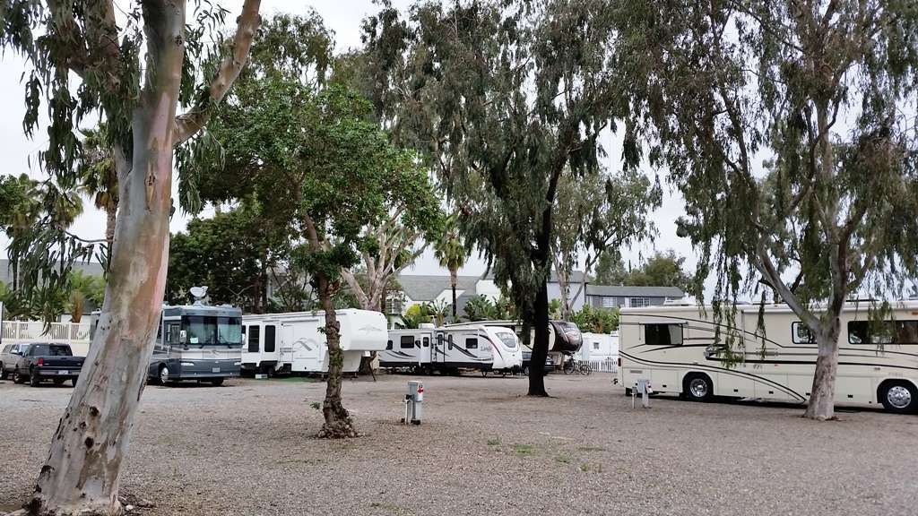 Surf & Turf RV Park