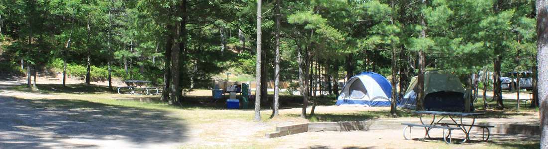 Hill and Hollow Campground & RV Park