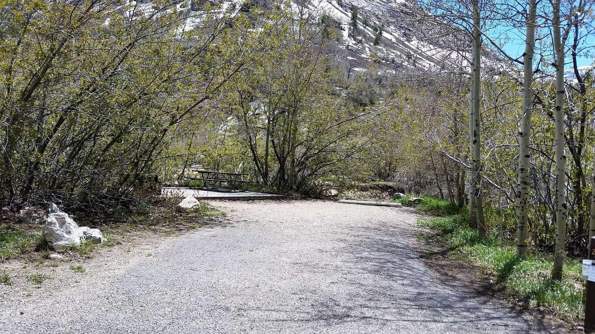 Thomas Canyon Campground