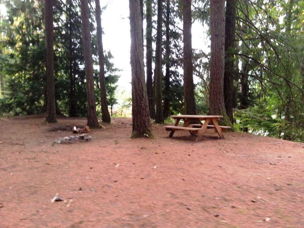 Timberline RV Park & Mobile Homes