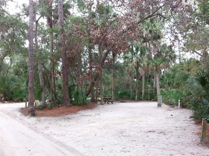 Tomoka State Park Campground