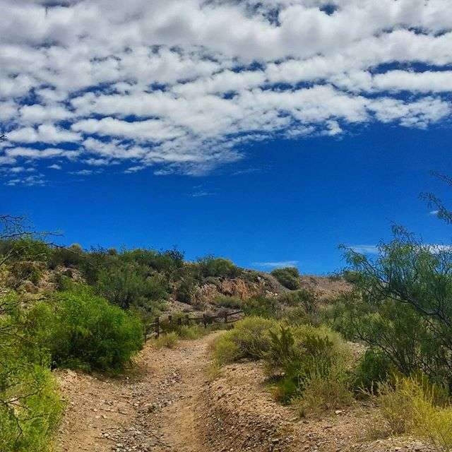 Leasburg Dam State Park Campground