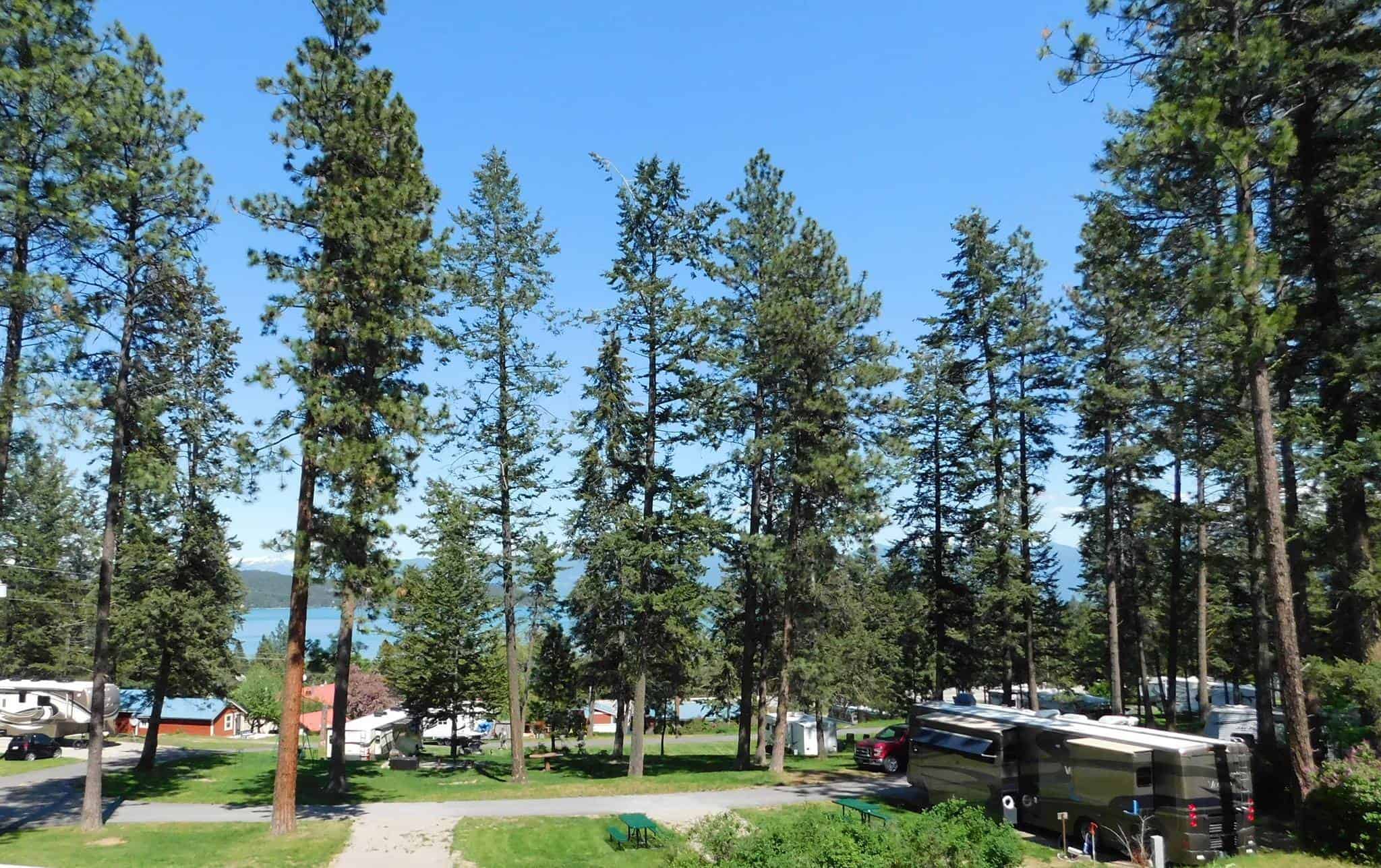 Rollins RV Park and Boat Rentals