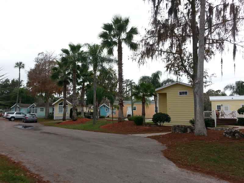 Tropical Palms Resort