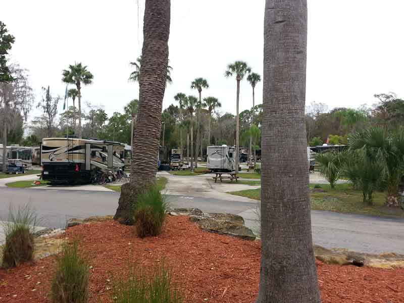 Tropical Palms Resort