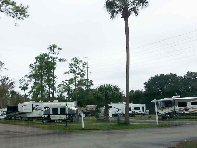 Tropical Palms Resort