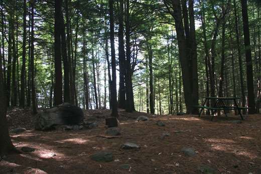 Tully Lake Campground