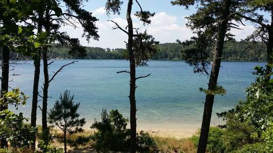 Nickerson State Park