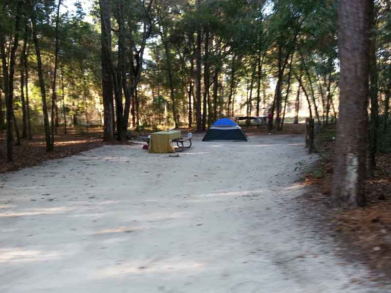 Wekiwa Springs State Park Campground