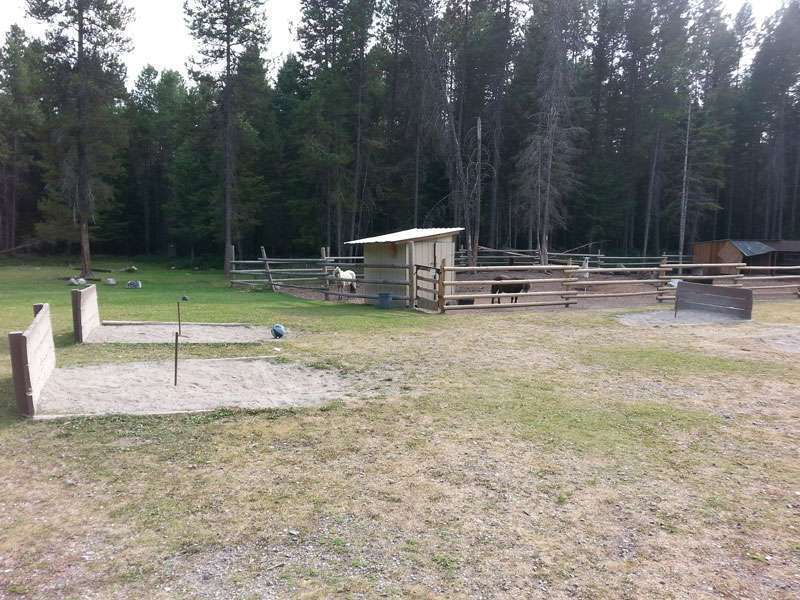 Whitefish Kalispell North KOA