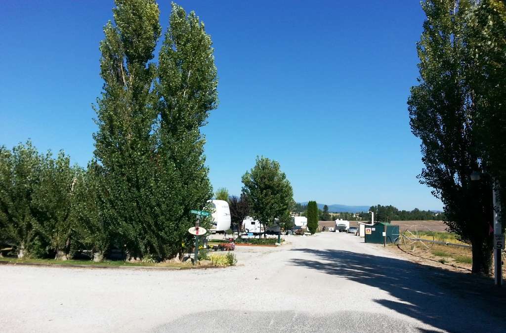 Wild Rose RV Park