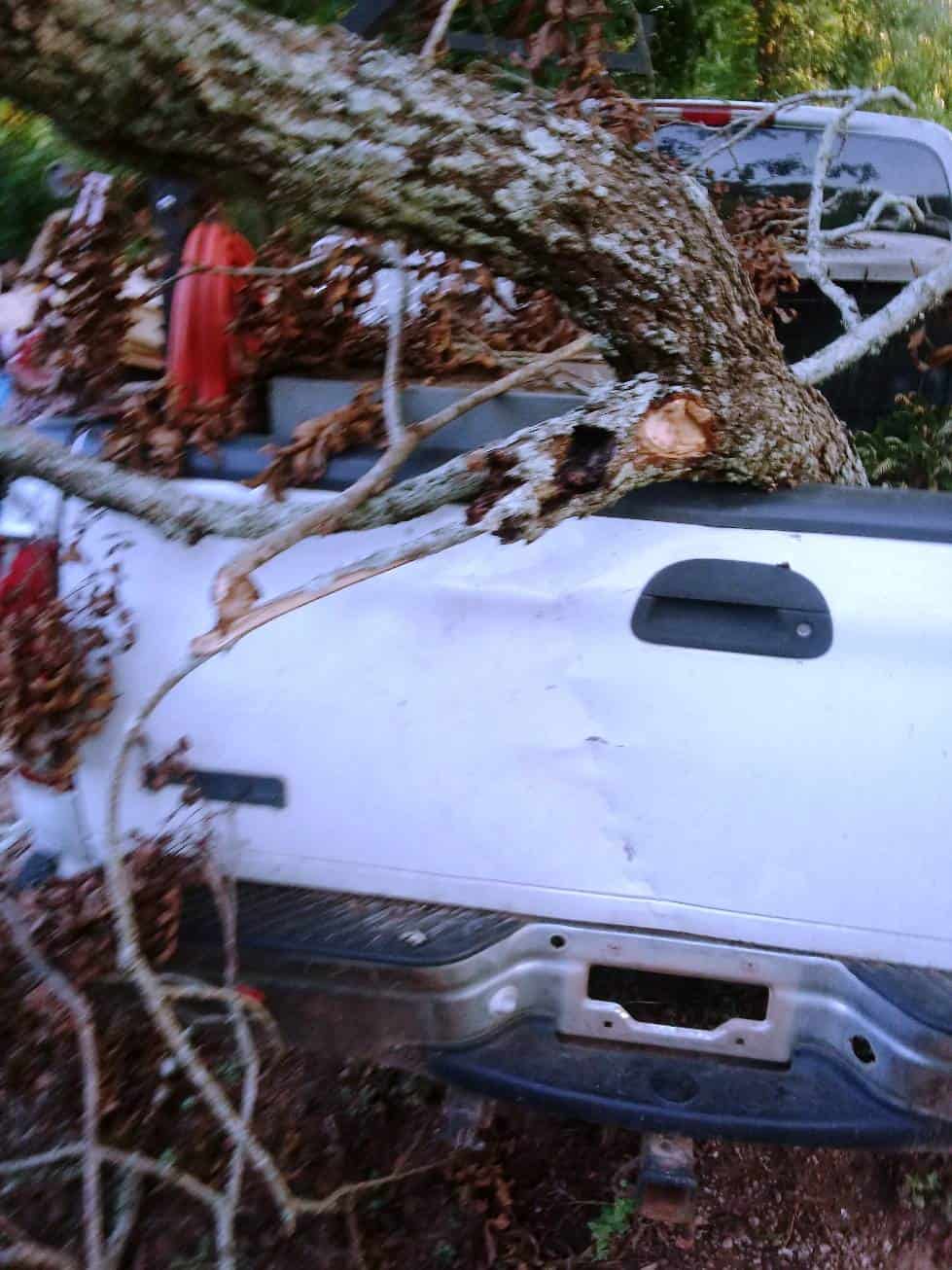 Willie's Washington Camp Ground