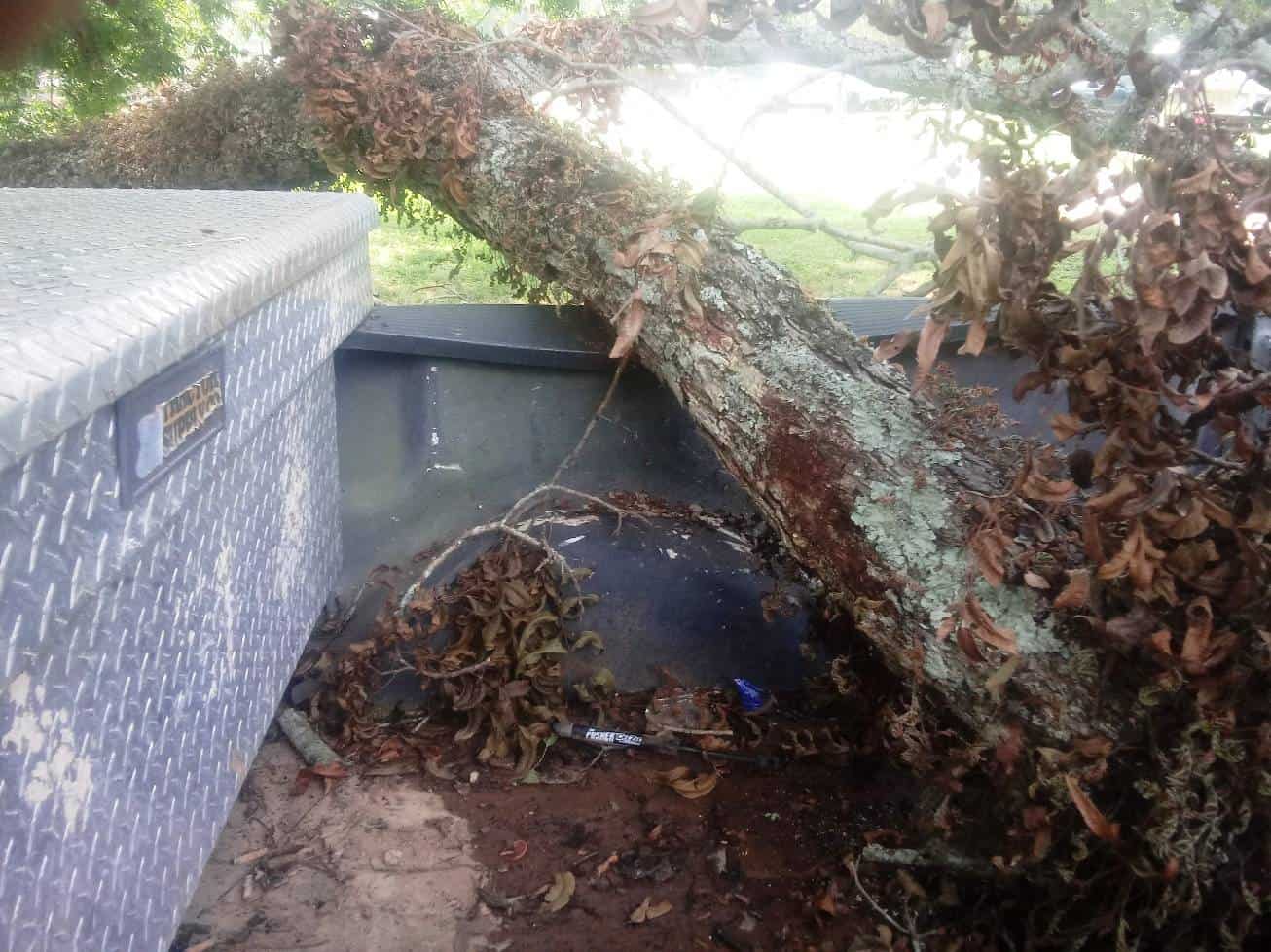 Willie's Washington Camp Ground