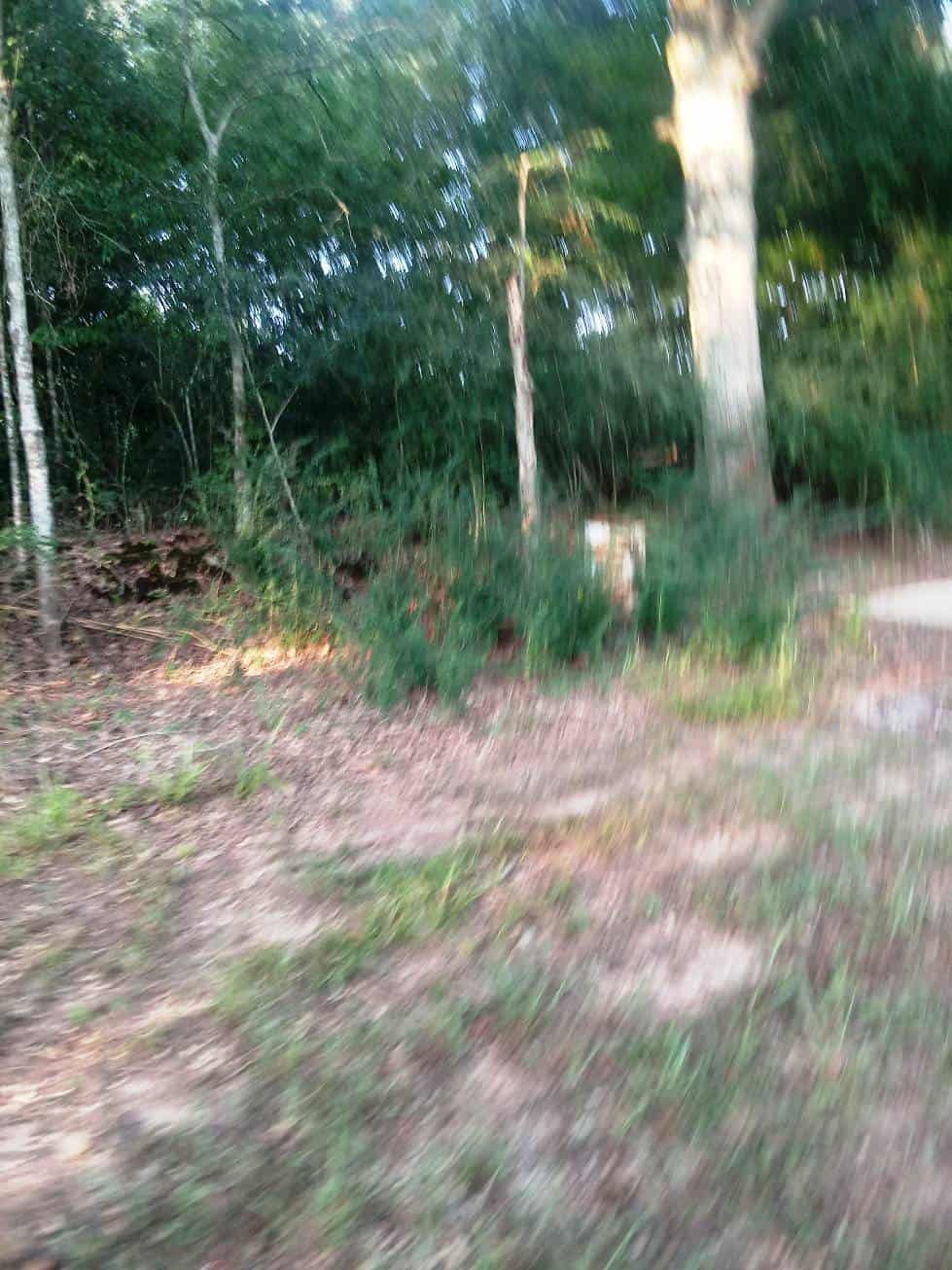 Willie's Washington Camp Ground