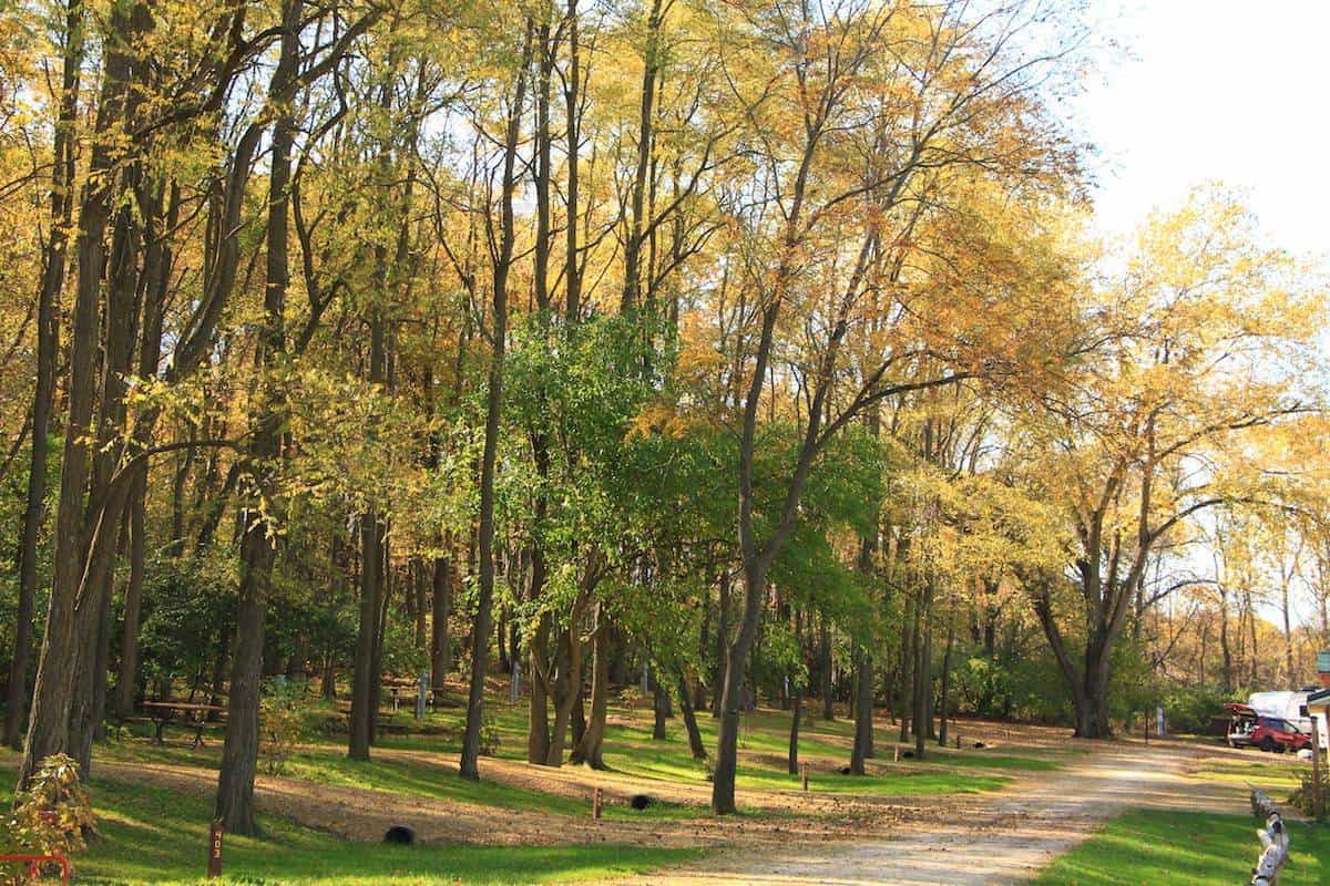 Glacier Valley Campground