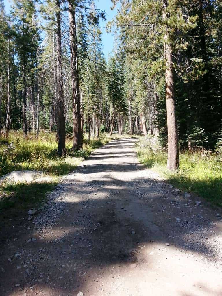 Yosemite Creek Campground