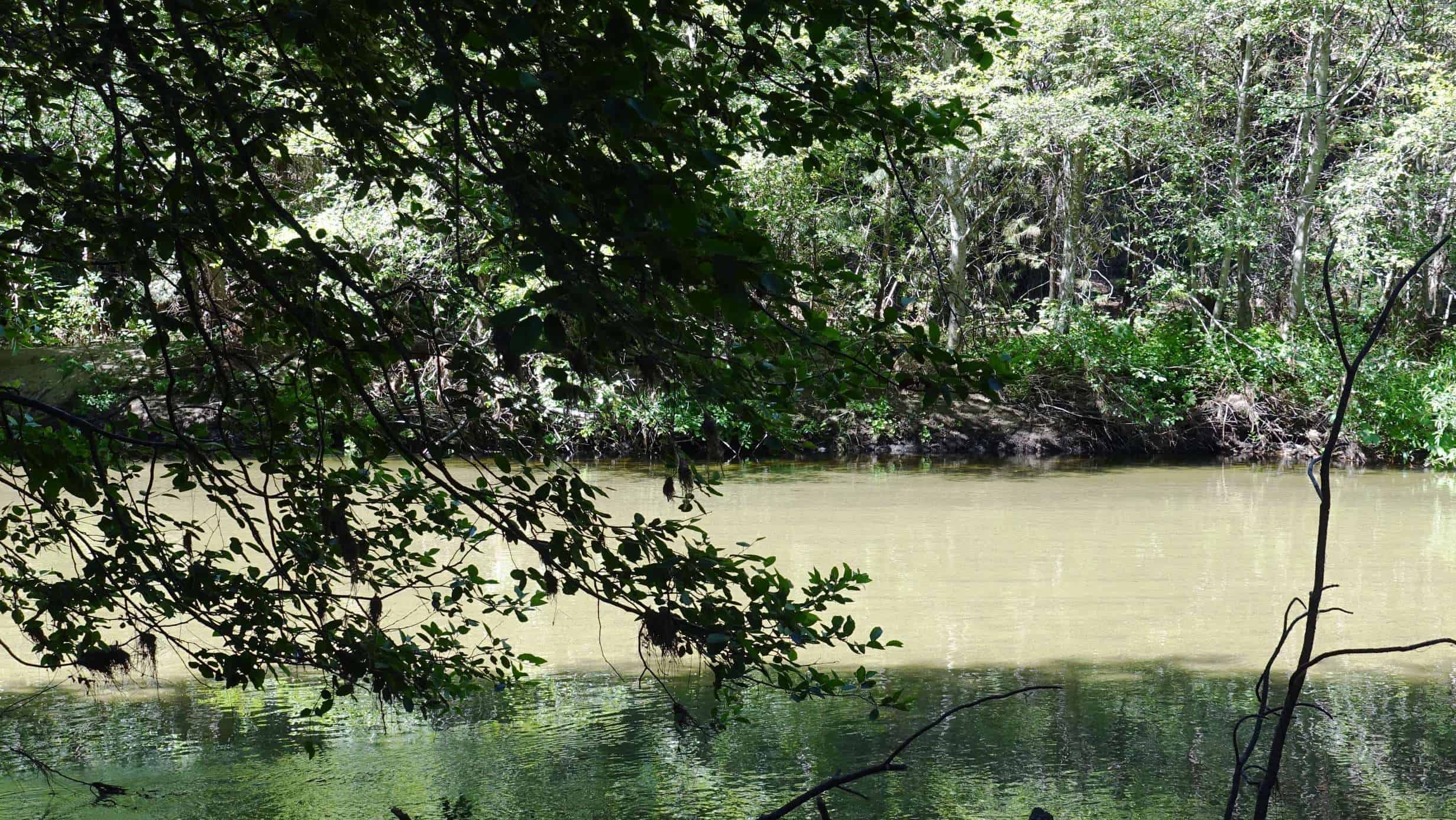 Yosemite Lakes RV Resort (Thousand Trails)