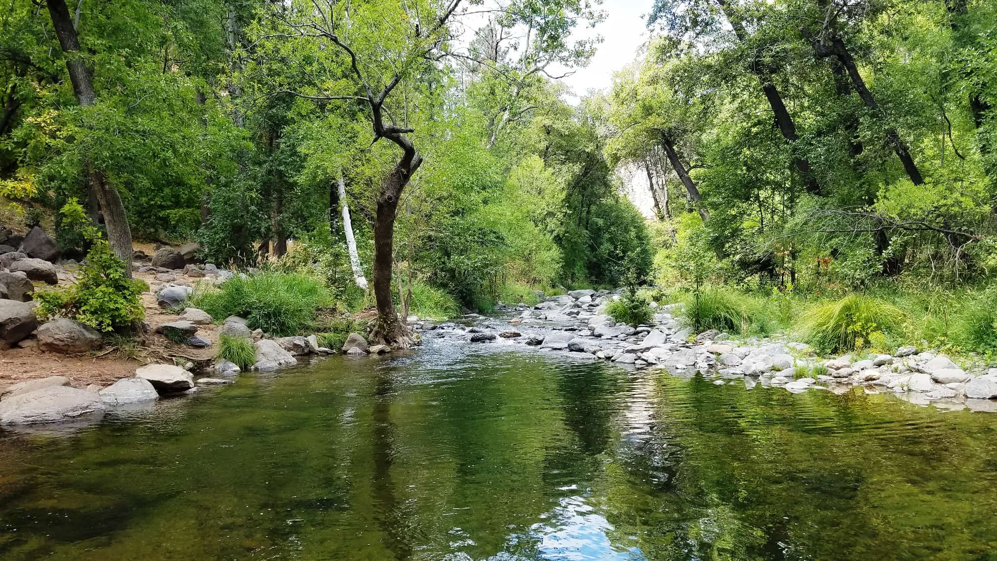 Manzanita Campground