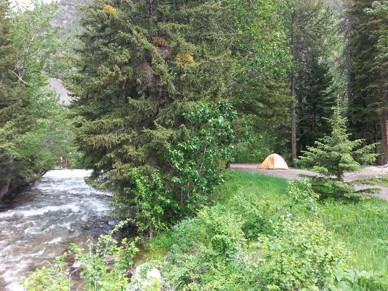 Custer Forest Dispersed Camping Rd 2005