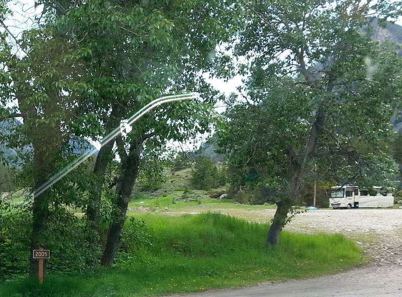 Custer Forest Dispersed Camping Rd 2005