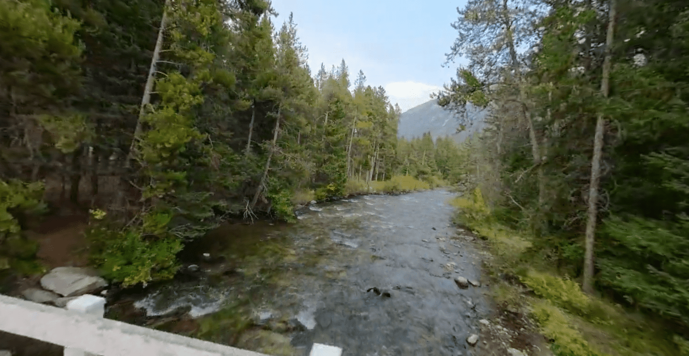 Limber Pine Campground