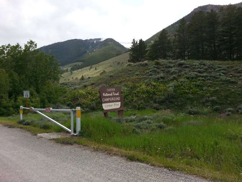 Limber Pine Campground