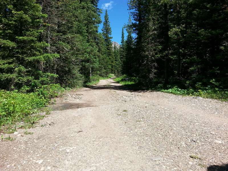 Bear Creek Campground